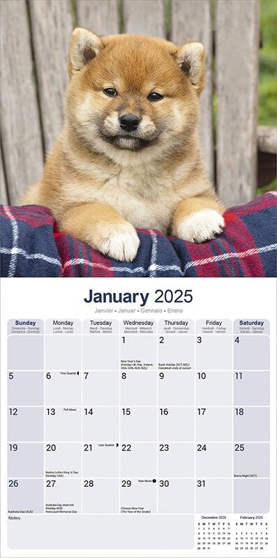 Shiba Inu Calendar 2025 Planner