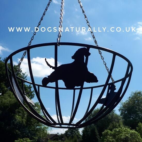 Afghan Hound Hanging Basket
