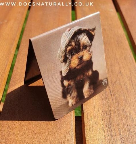 Yorkshire Terrier Puppy Magnetic Page Mark - Maxwell