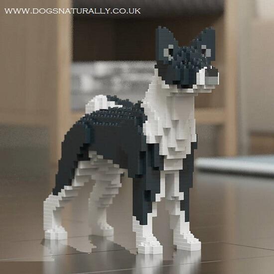 Black Basenji Dog Lego Brick Building Kit