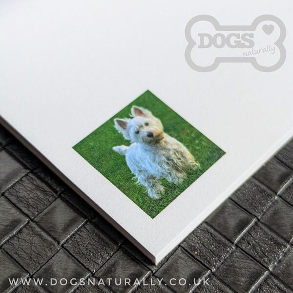 Westie Square Magnetic Note Pad Inside