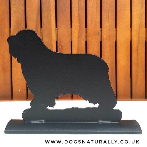Bearded Collie Luxury Gifts - Door Stop