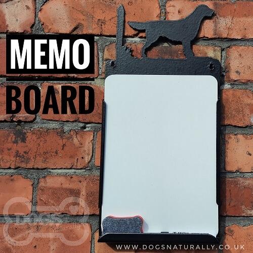 Flat Coated Retriever Memo Board - by Request