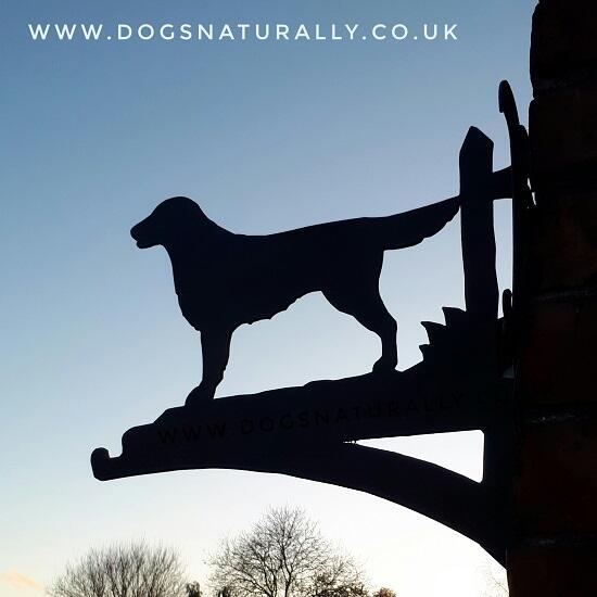 Dog Lover Wall Bracket - Flat Coated Retriever