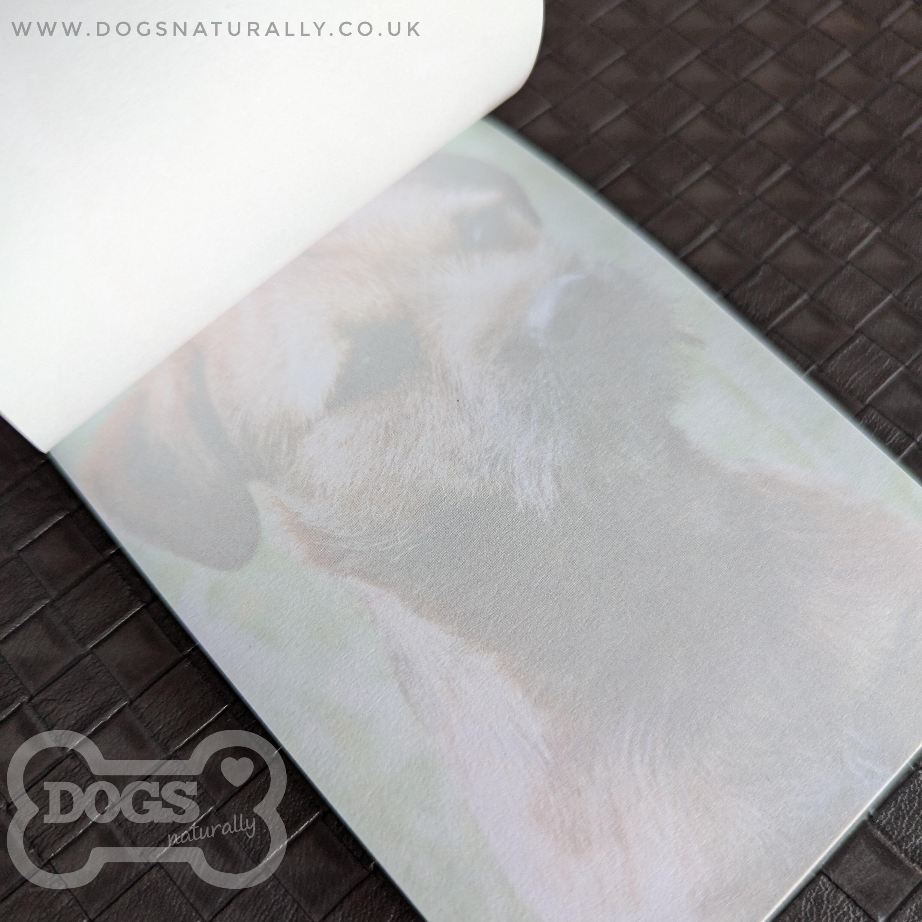Border Terrier Standard Magnetic Note Pad Inside