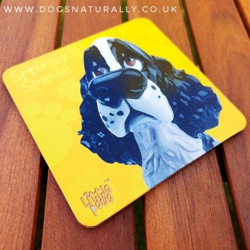 Black & White Springer Spaniel Coaster