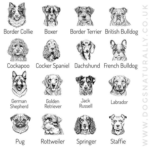 Elegant Personalised Dog Breed Mug