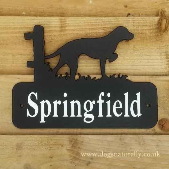 Dog Lover House Sign Plate - Vizsla