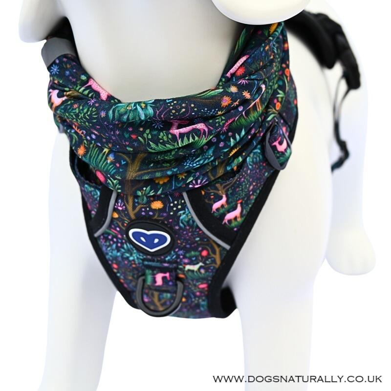 ENCHANTED FOREST - INSECT REPELLING DOG HARNESS with matching Bandana