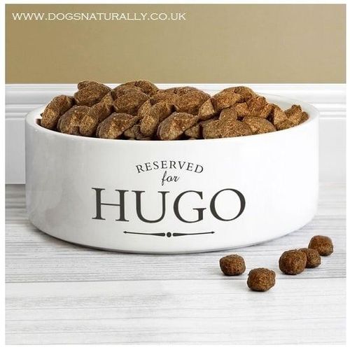 RESERVED for Design ceramic dog bowl - Hugo