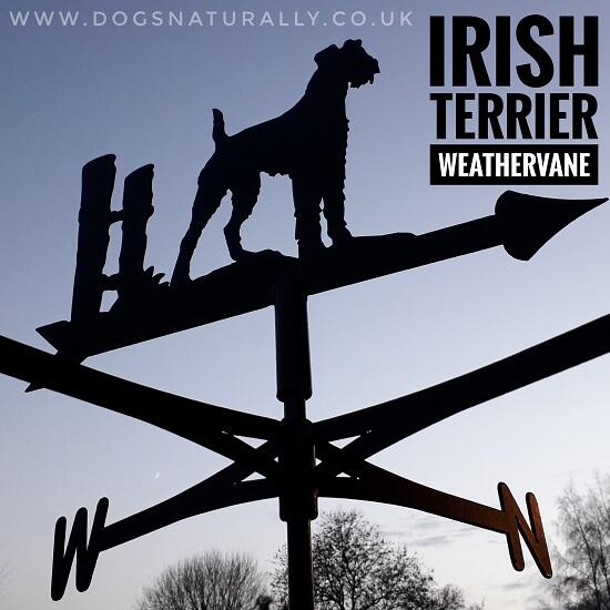 Dog Lover Weathervane - Irish Terrier