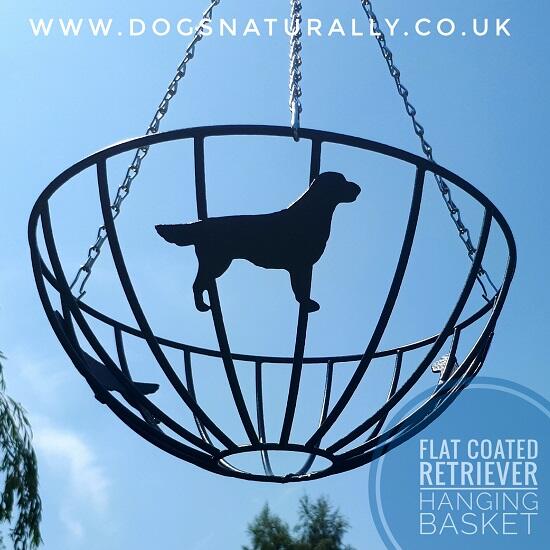 Dog Lover Hanging Basket - Flat Coated Retriever