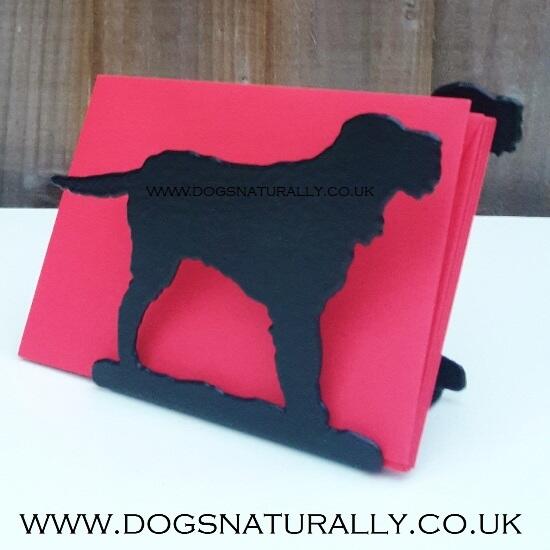 Dog Breed Letter Rack - Italian Spinone