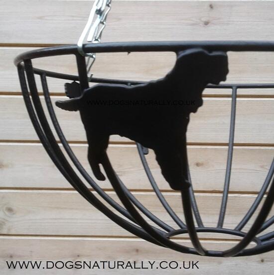 Dog Lover Hanging Basket - Italian Spinone