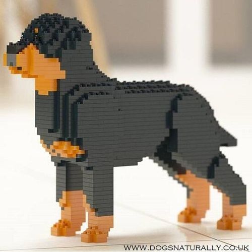 Rottweiler Dog Brick Building Kits