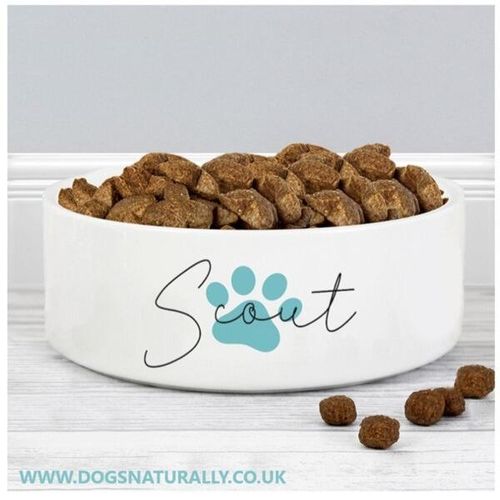Personalised Blue Pawprint Dog Bowl - Scout