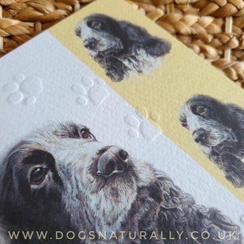 Blue Road Cocker Spaniel Dog Card