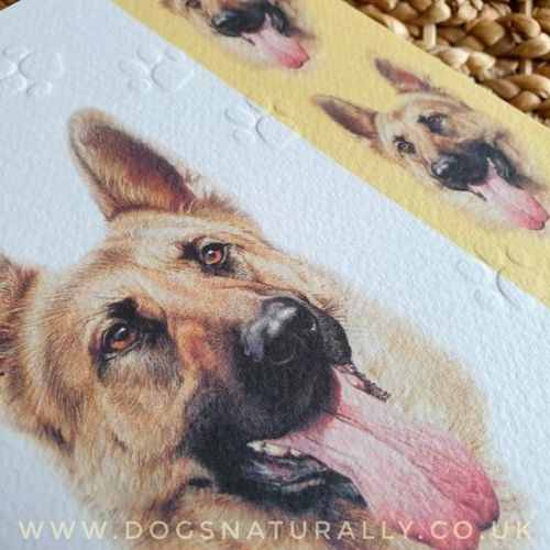 German Shepherd Dog Lover Greetings Card