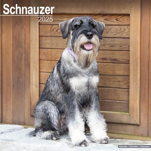 Schnauzer Calendar 2025