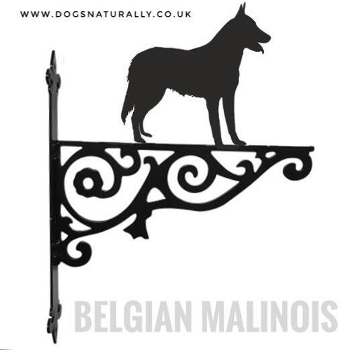 Belgian Malinois Ornate Wall Bracket