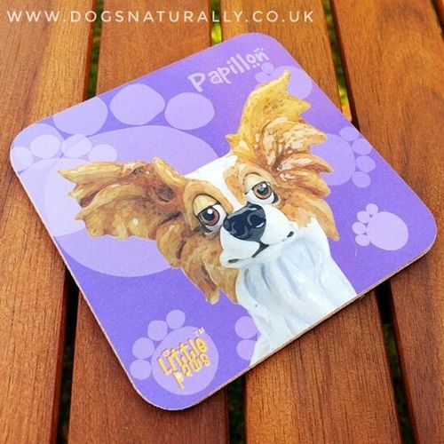 Papillon Dog Lover Coaster