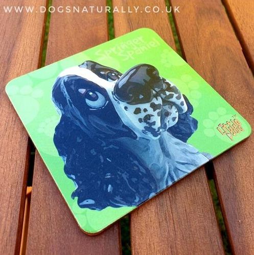 Liver & White Spinger Spaniel Dog Coaster