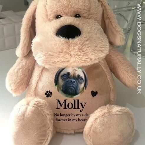 Personalised Memorial Plush Puppy Teddy Bear