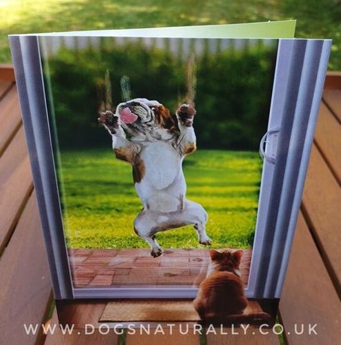 Bulldog Birthday Card (Patio Door)