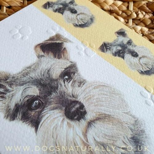 Schnauzer Greetings Card