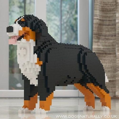 Bernese Mountain Dog (Stood Design) Jekca, Dog Lego