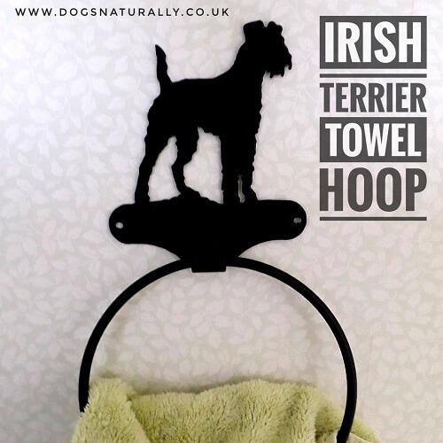 Irish Terrier