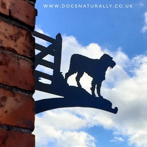 Dog Lover Wall Bracket - German Wirehaired Pointer (Docked)