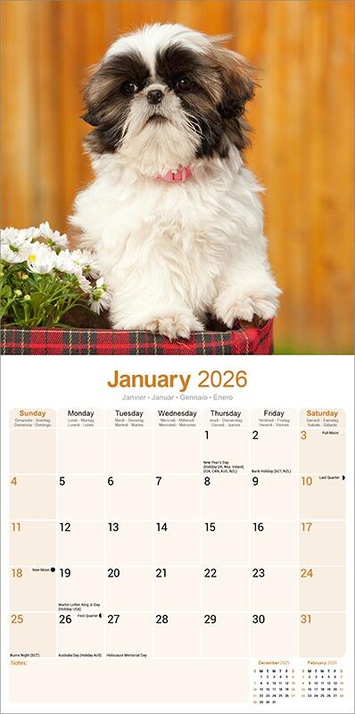 Shih Tzu Calendar 2026 Planner
