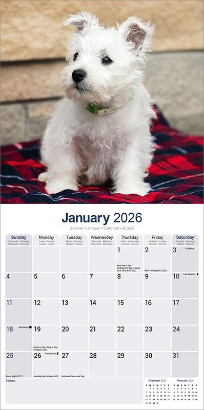 Westie Calendar 2026 Planner