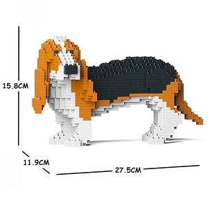 Basset Hound Jekca