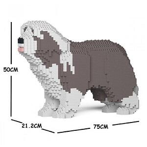 Bearded Collie Jekca - Blue/Grey