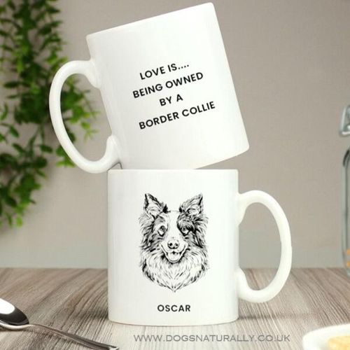 Elegant Border Collie Personalised Mug