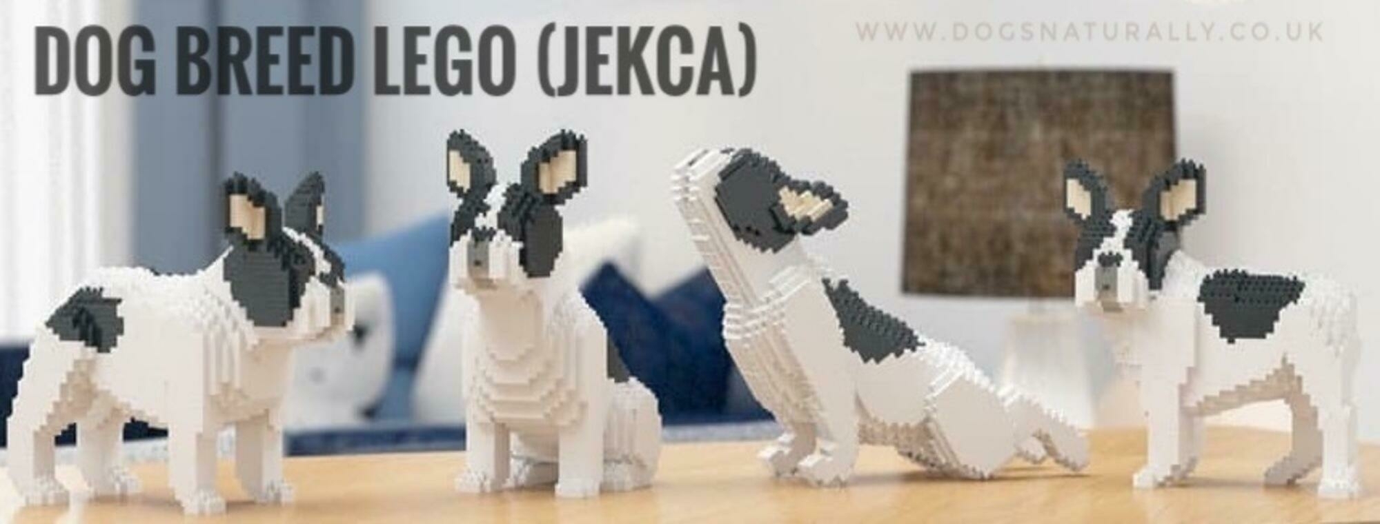 Lego inspired Dog Breed Brick Building Kits