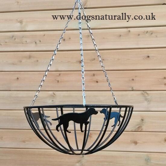 Dog Lover Hanging Basket - Hungarian Vizsla