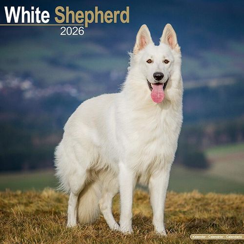 White Shepherd Calendar 2026