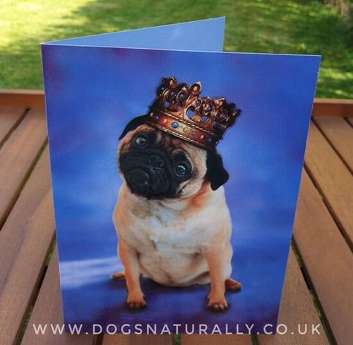 King Pug Birthday Card