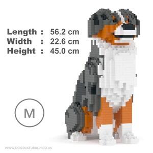 Australian Shepherd Building Kit