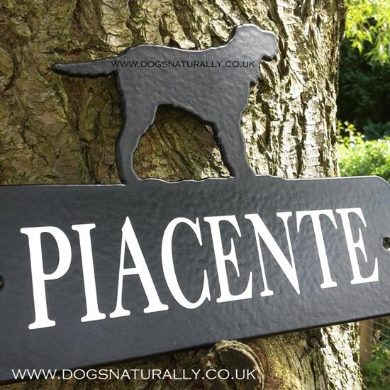 Dog Lover House Sign Plate - Italian Spinone