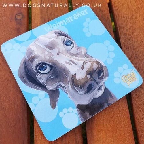 Weimaraner Dog Lover Coaster