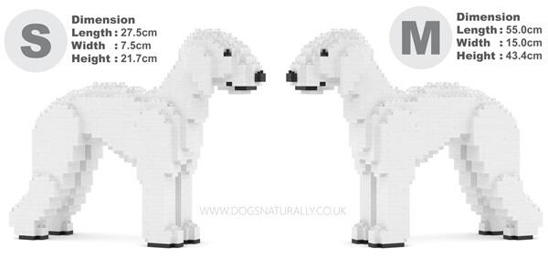 bedlington-sizes-web.jpg