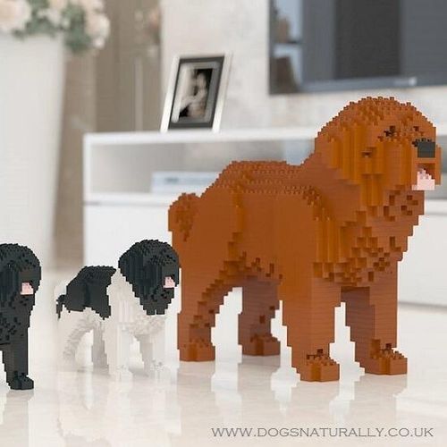 Newfoundland Dog Lego - Jekca Dog Brick Building Kits (Group)