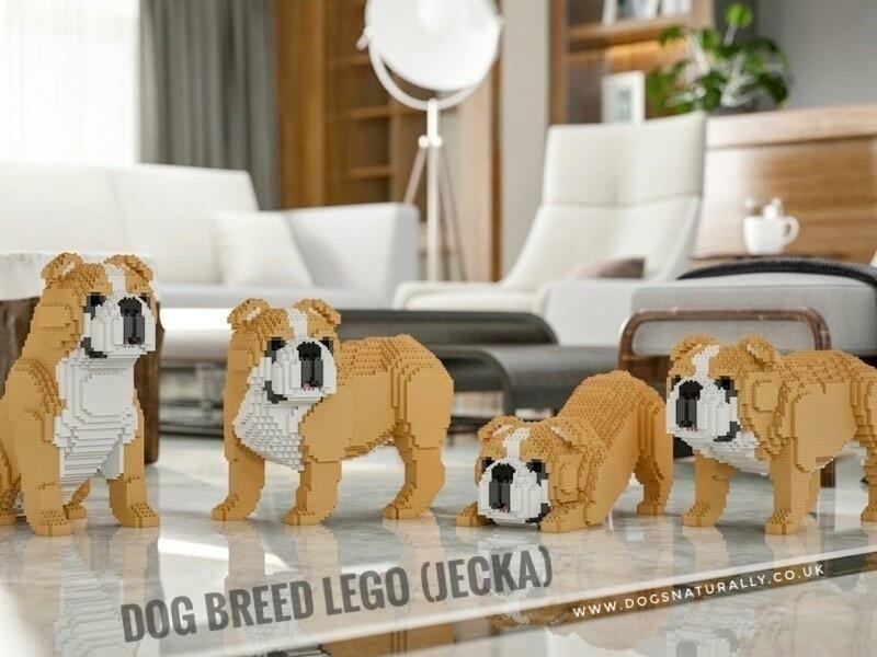 Lego inspired Dog Breed Brick Building Kits