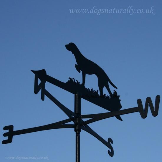 Dog Lover Weathervane - Hungarian Vizsla