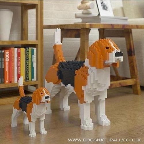Beagle Jekca - Brick Building Kit
