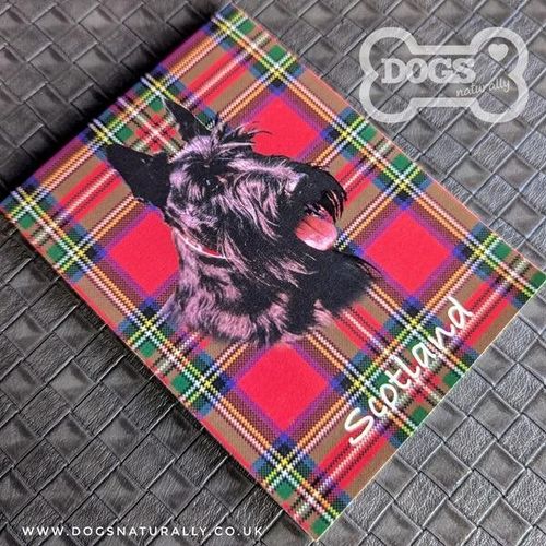 Tartan Scottish Terrier Magnetic Note Pad (Standard)